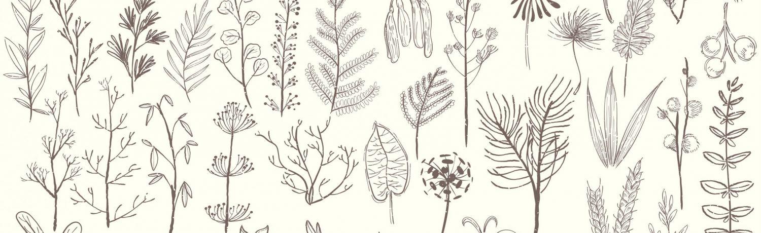 Illustration of various types of plants