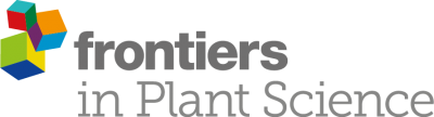logo_plant_science_grey_w